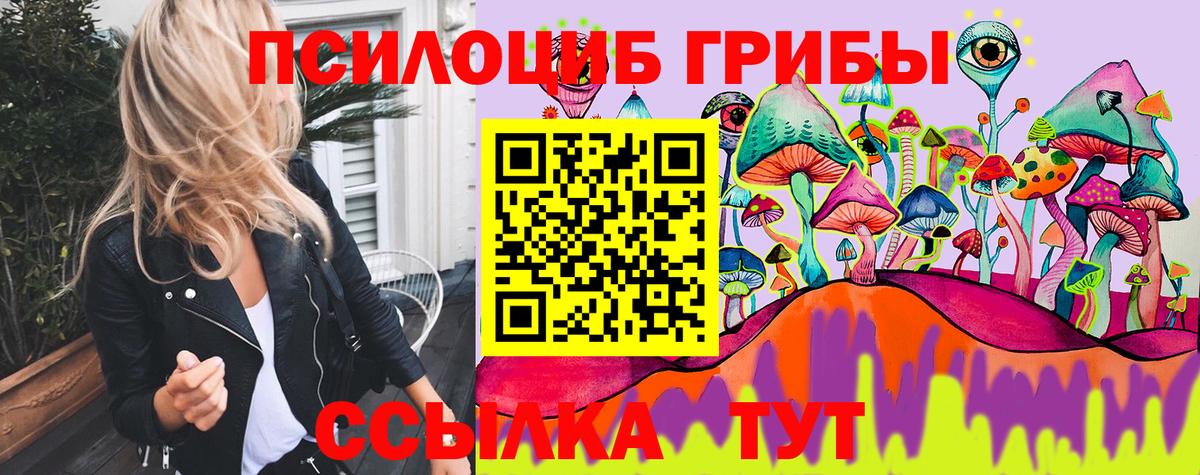 Псилоцибиновые грибы GOLDEN TEACHER Электрогорск