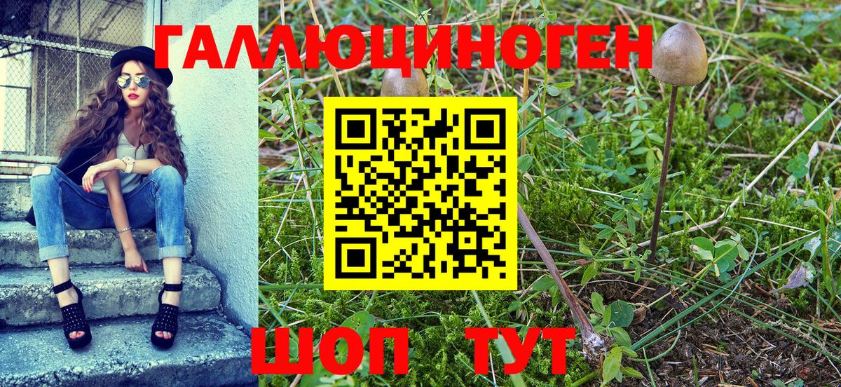Электрогорск  Галлюциногенные грибы Psilocybe  сколько стоит  Вход с VPN 